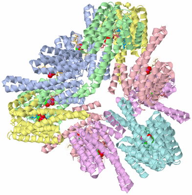 Image Biological Unit 4