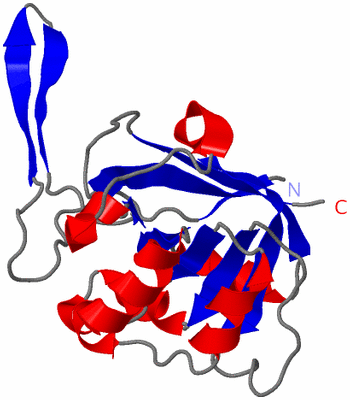 Image Asymmetric Unit