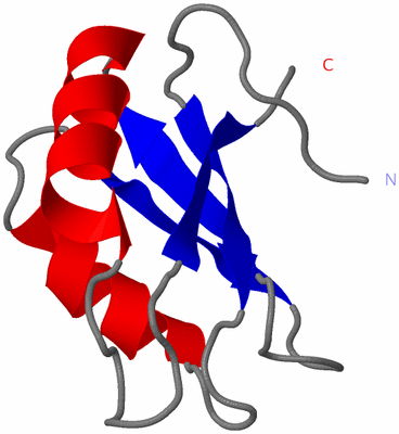 Image NMR Structure - model 1