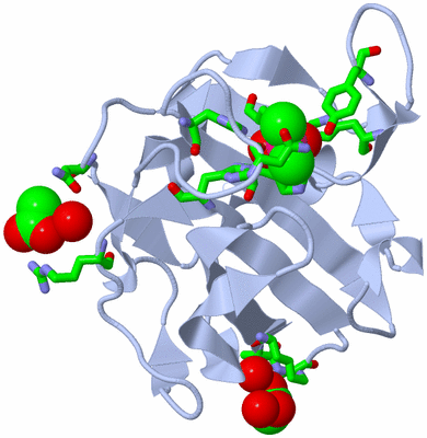 Image Biol. Unit 1 - sites