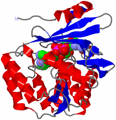 Image Asym./Biol. Unit