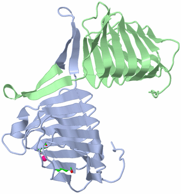 Image Asym./Biol. Unit - sites