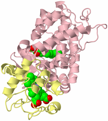 Image Biological Unit 2