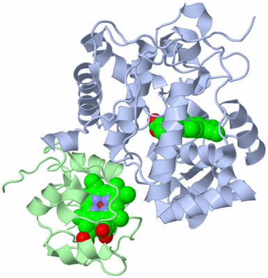 Image Biological Unit 1