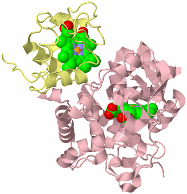 Image Biological Unit 2