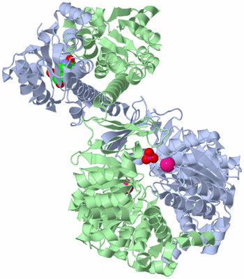 Image Biological Unit 1