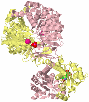 Image Biological Unit 2