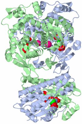 Image Asym./Biol. Unit