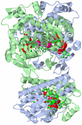 Image Asym./Biol. Unit - sites