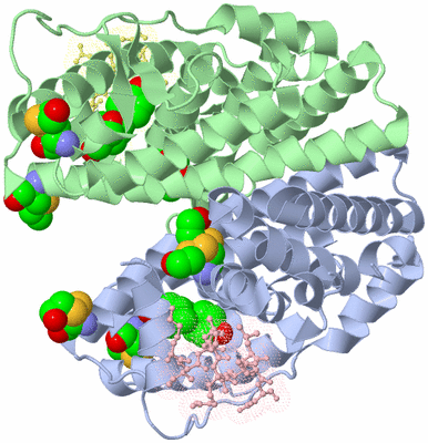 Image Asym./Biol. Unit