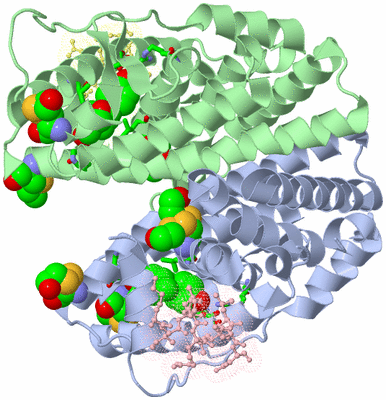 Image Asym./Biol. Unit - sites