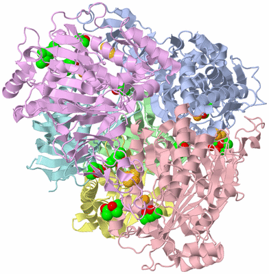 Image Asym./Biol. Unit