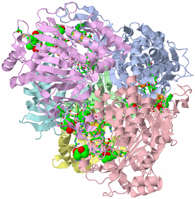 Image Asym./Biol. Unit - sites