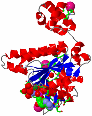 Image Asym./Biol. Unit - sites