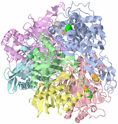 Image Asym./Biol. Unit