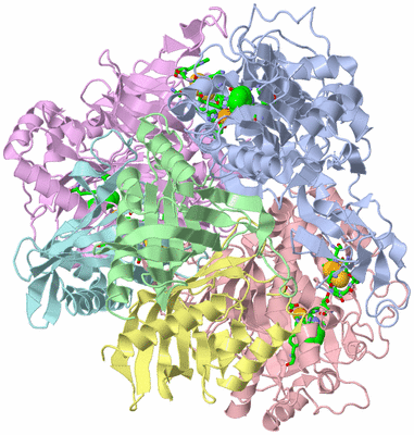 Image Asym./Biol. Unit - sites