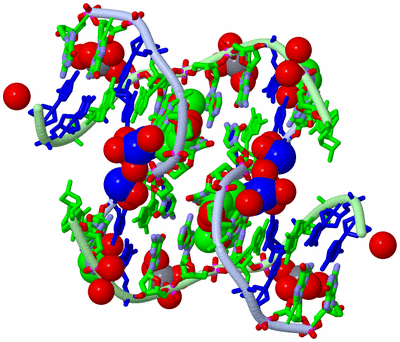 Image Biol. Unit 1 - sites