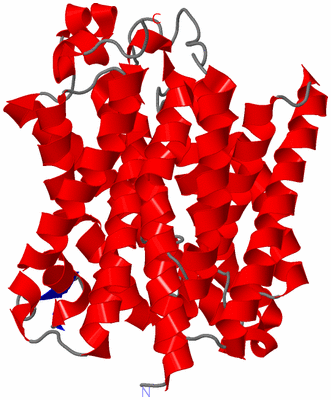 Image Asymmetric Unit