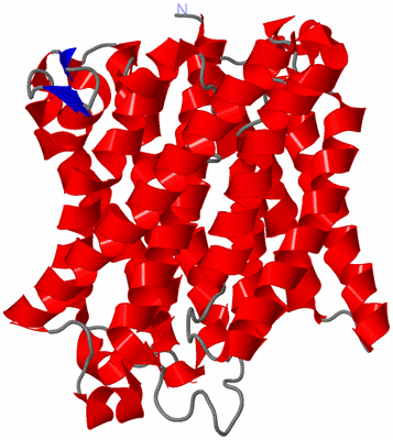 Image Asymmetric Unit