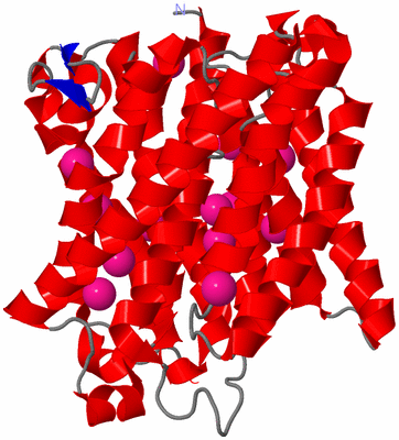 Image Asymmetric Unit