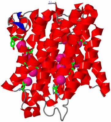 Image Asym. Unit - sites