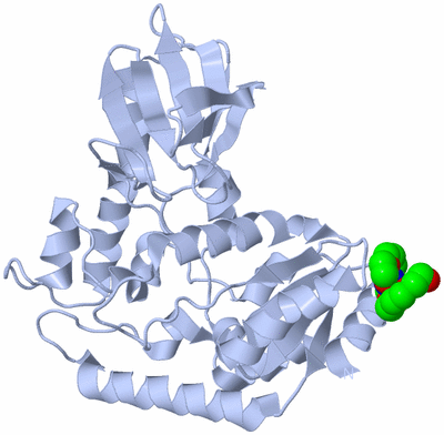 Image Biological Unit 1