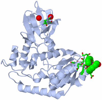 Image Biol. Unit 1 - sites