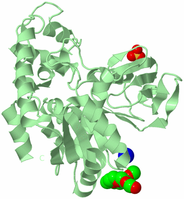 Image Biological Unit 2