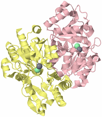 Image Biological Unit 2