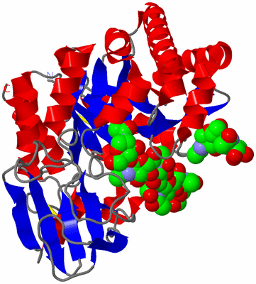 Image Asym./Biol. Unit