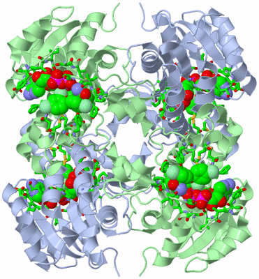 Image Biol. Unit 1 - sites