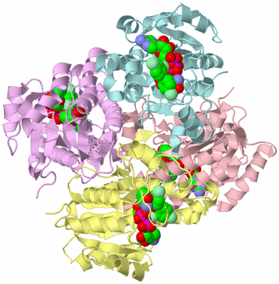 Image Biological Unit 2