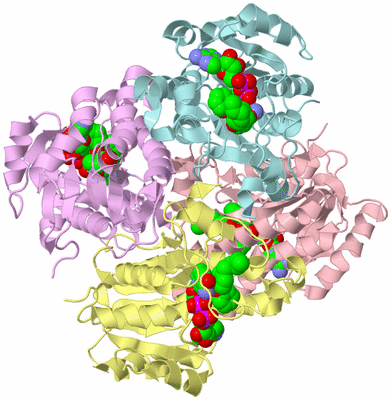 Image Biological Unit 2