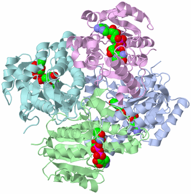 Image Biological Unit 1