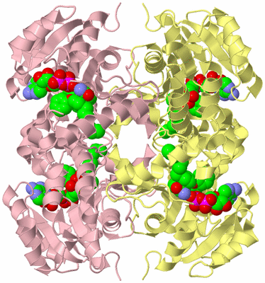 Image Biological Unit 2