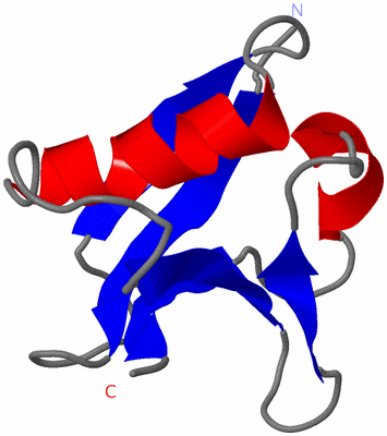 Image NMR Structure - model 1