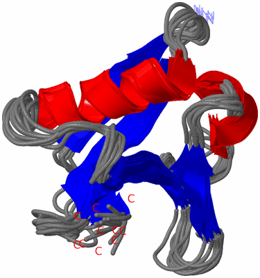 Image NMR Structure - all models