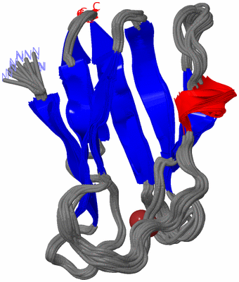 Image NMR Structure - all models