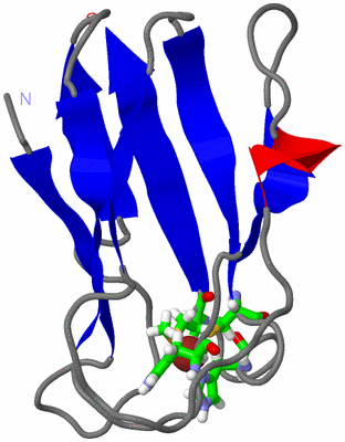 Image NMR Structure - model 1, sites