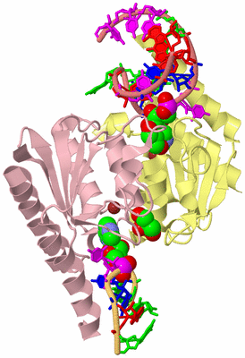 Image Biological Unit 2