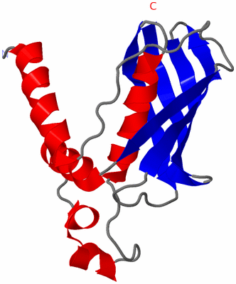 Image Asymmetric Unit