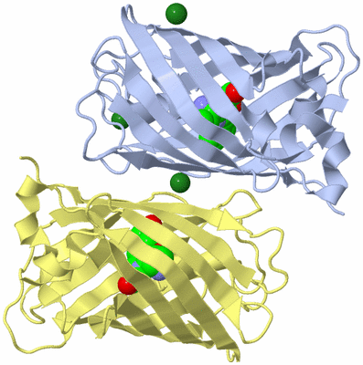 Image Biological Unit 1