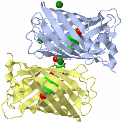 Image Biol. Unit 1 - sites