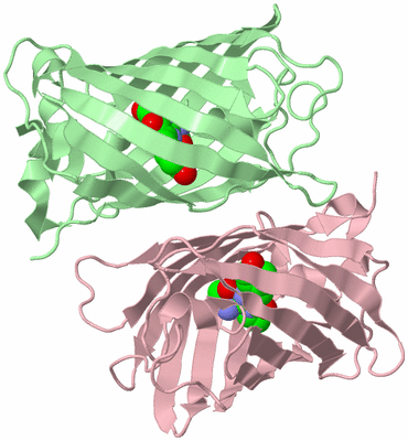 Image Biological Unit 2