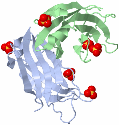 Image Asymmetric Unit