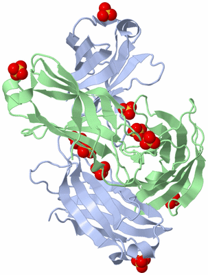 Image Biological Unit 3