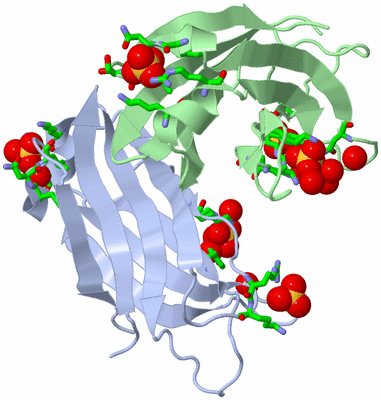 Image Asym. Unit - sites