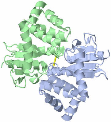 Image Biological Unit 3