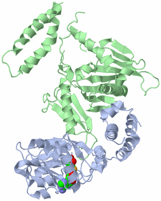 Image Asym./Biol. Unit