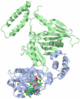 Image Asym./Biol. Unit - sites